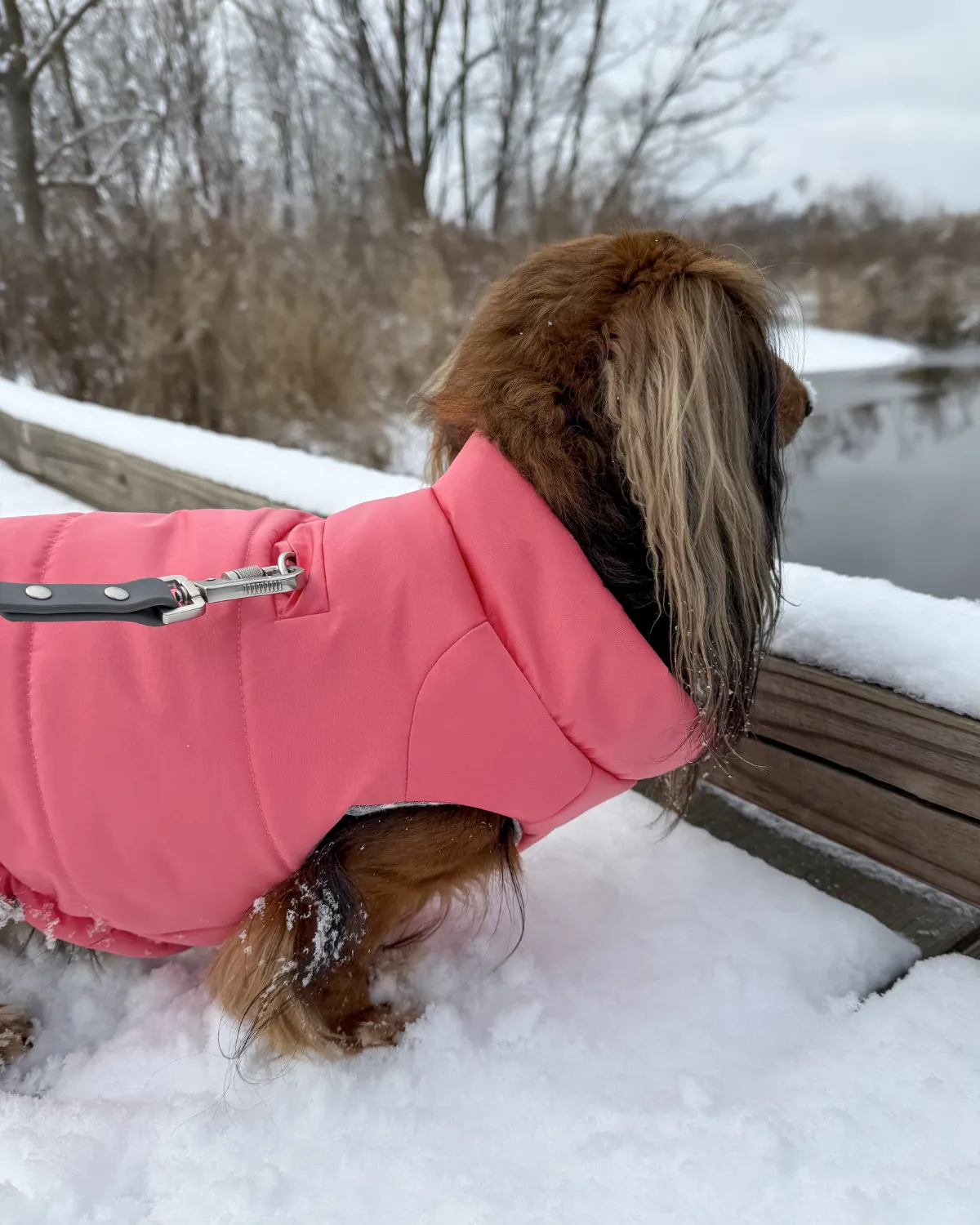 Snowline™ Puffer Dog Coat - Rose Petal Pink