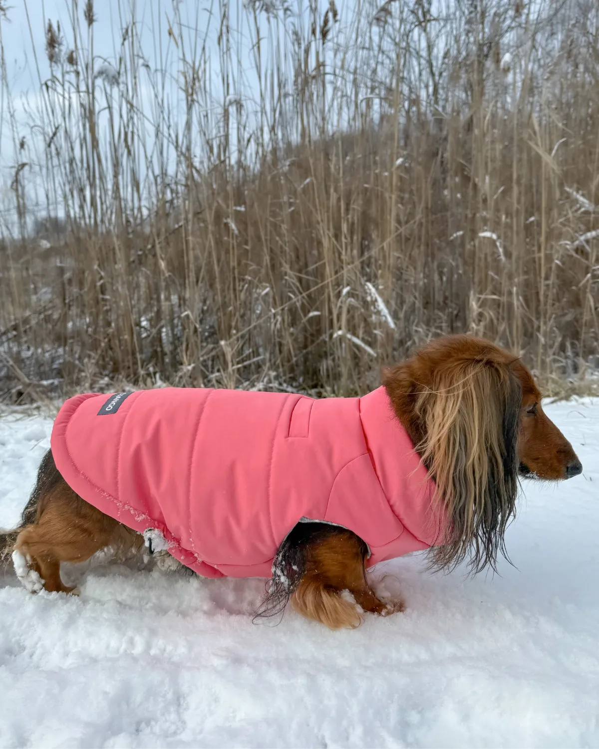 Snowline™ Puffer Dog Coat - Rose Petal Pink