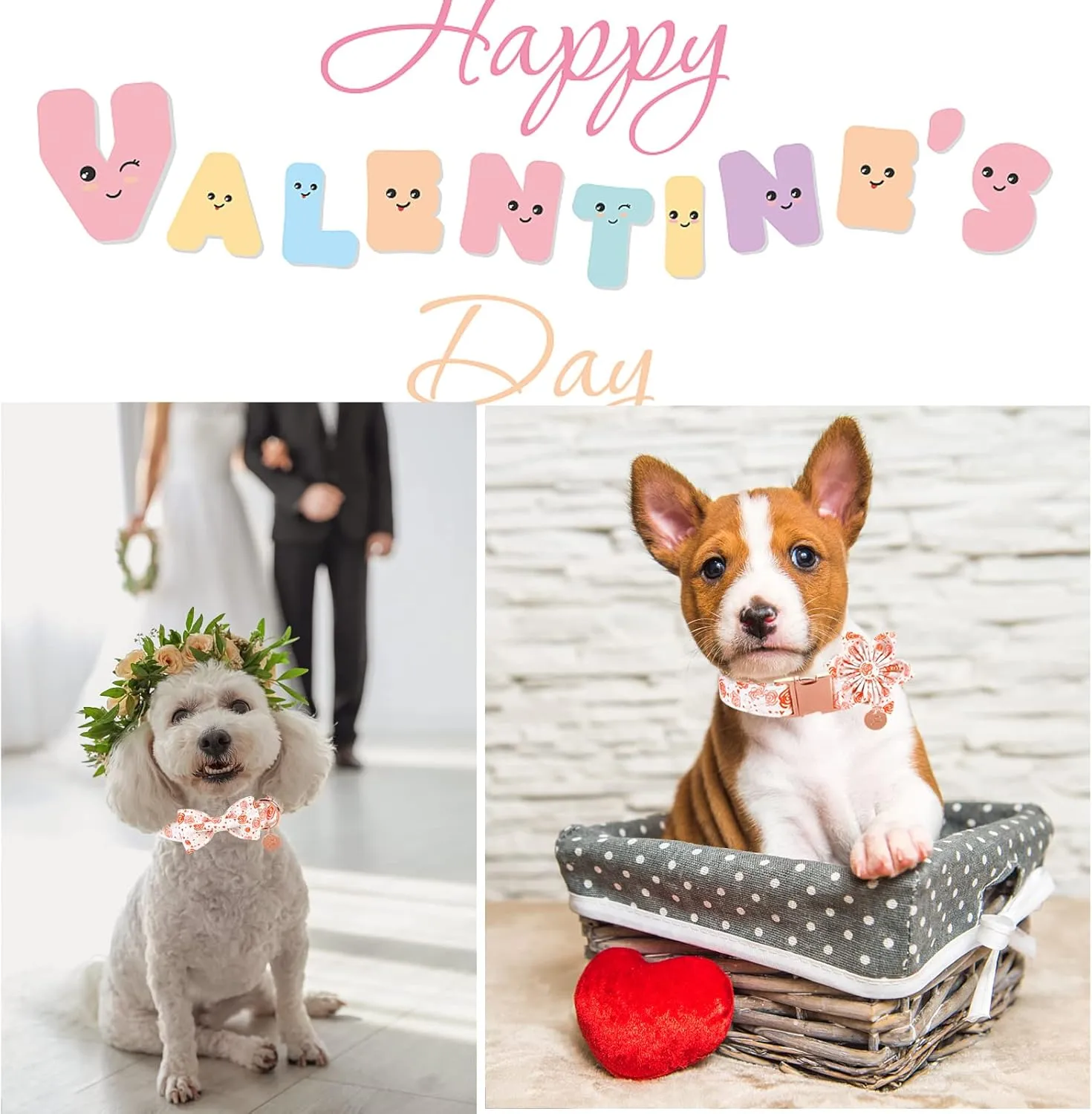 UP URAR PUP Valentine's Dog Collar With Flower for Puppy Girl Dog or Cat, Gift Collar With Metal Buckle, Wedding Dog Collar, White, XS