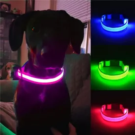 USB Rechargeable Light Up Dog Collars for Night Walking