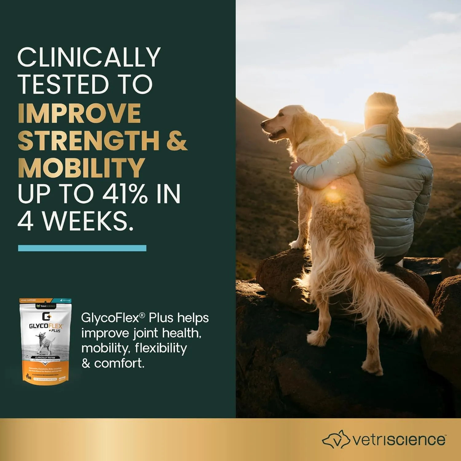VetriScience Ultimate Strength Healthy Hip & Joint Chews, GlycoFlex Glucosamine, Chondroitin & Green-Lipped Mussel Joint Support Supplement for Dogs, Soothe Joint Discomfort, Peanut Butter, 120 Count