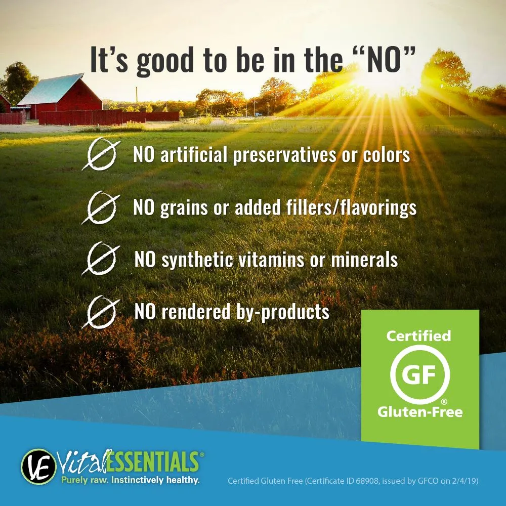 Vital Essentials Freeze Dried Grain Free Beef Mini Nibs Entree for Dogs Food