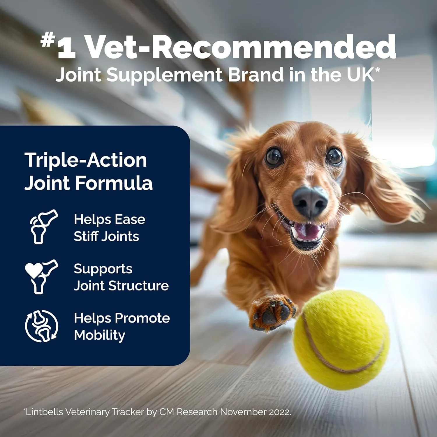 YuMOVE Hip and Joint Supplement for Dogs with Glucosamine, Green Lipped Mussel, Chondroitin, MSM, Omega 3 & Hyaluronic Acid - Joint Support Supplement - for Adult Dogs 300 Tablets